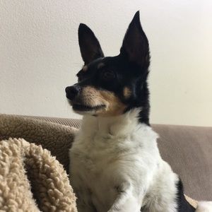 Meet your Posher, Emma